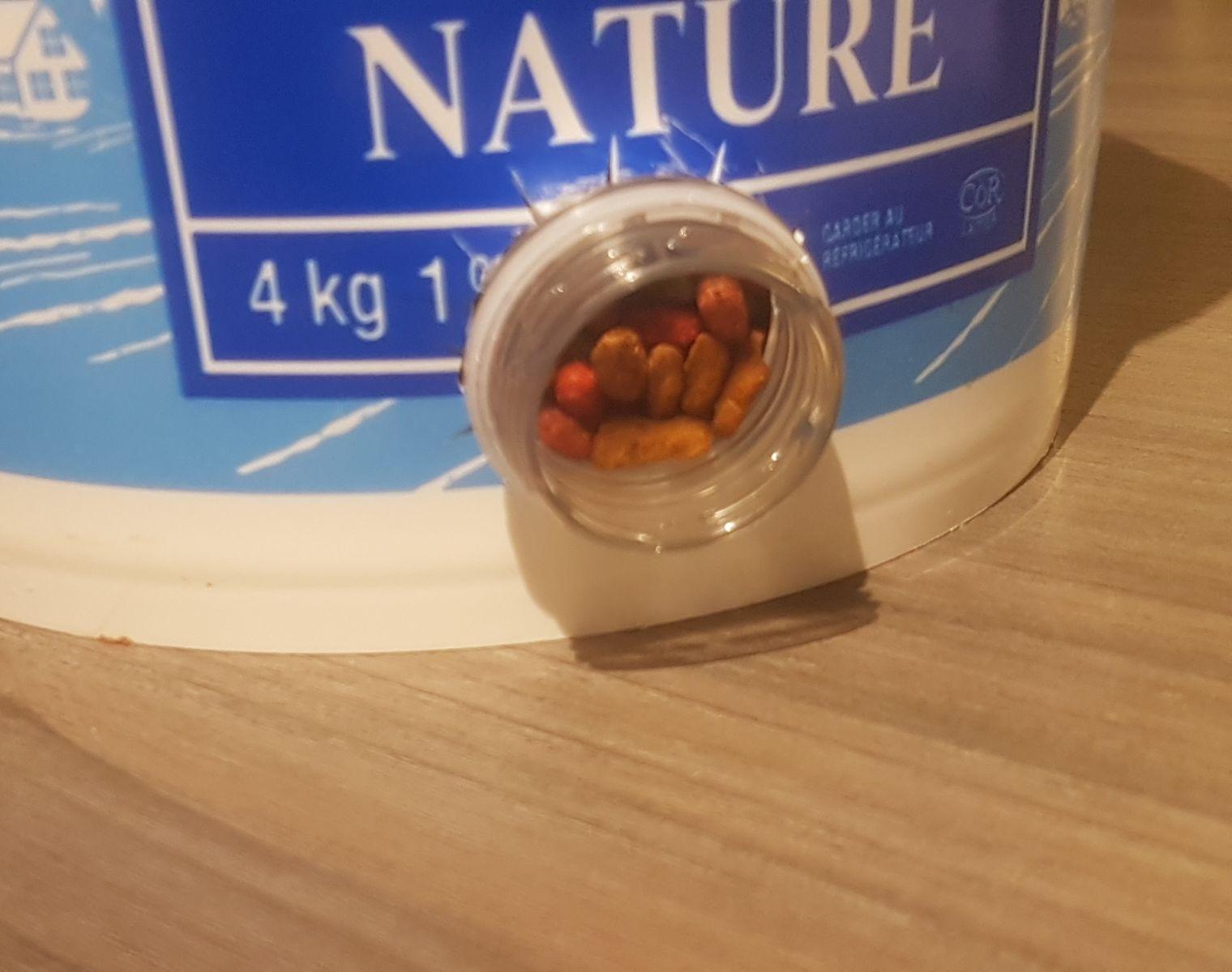 DIY UPCYCLED WILDLIFE FEEDER