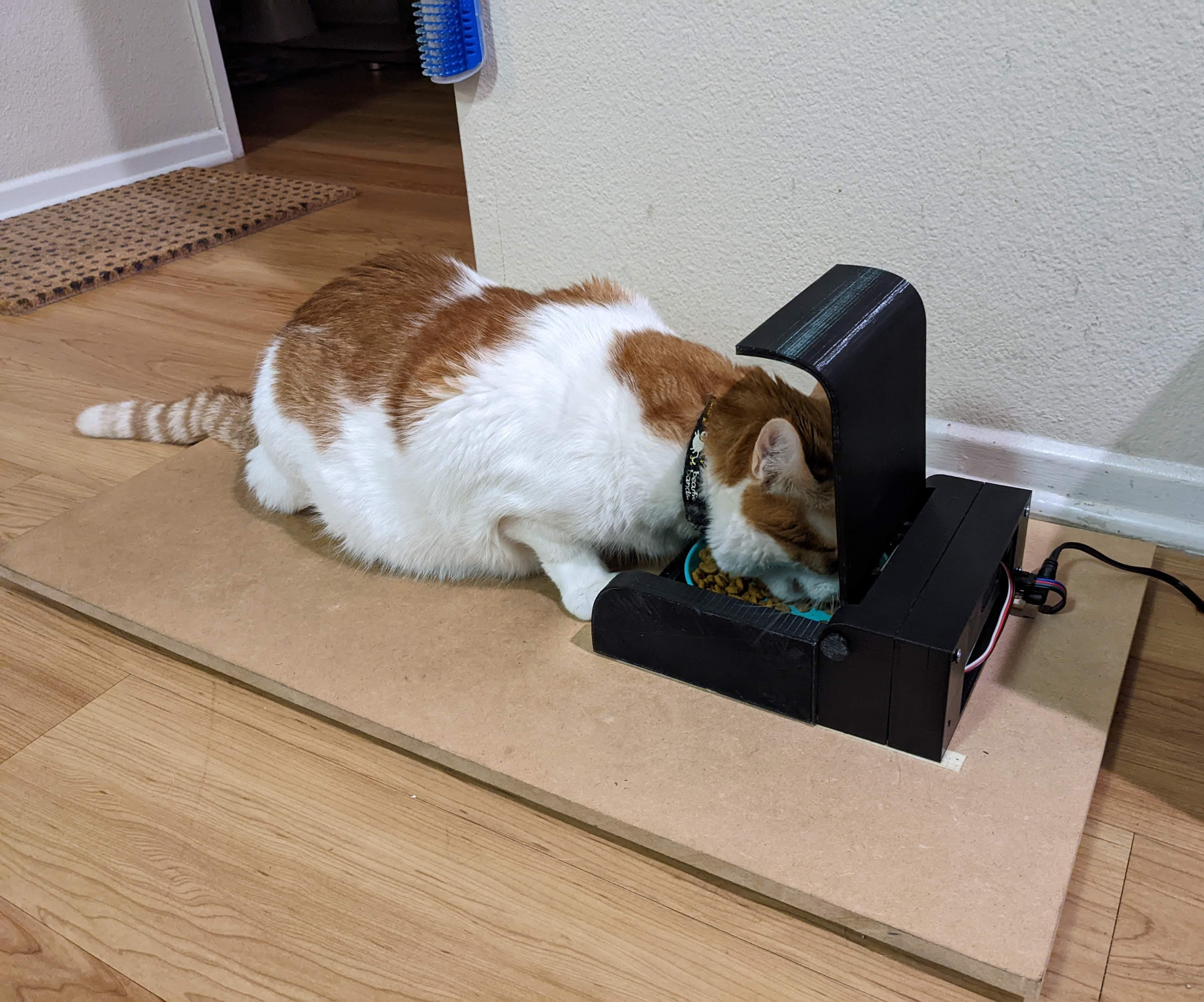 Cat and Dog Selective Feeder