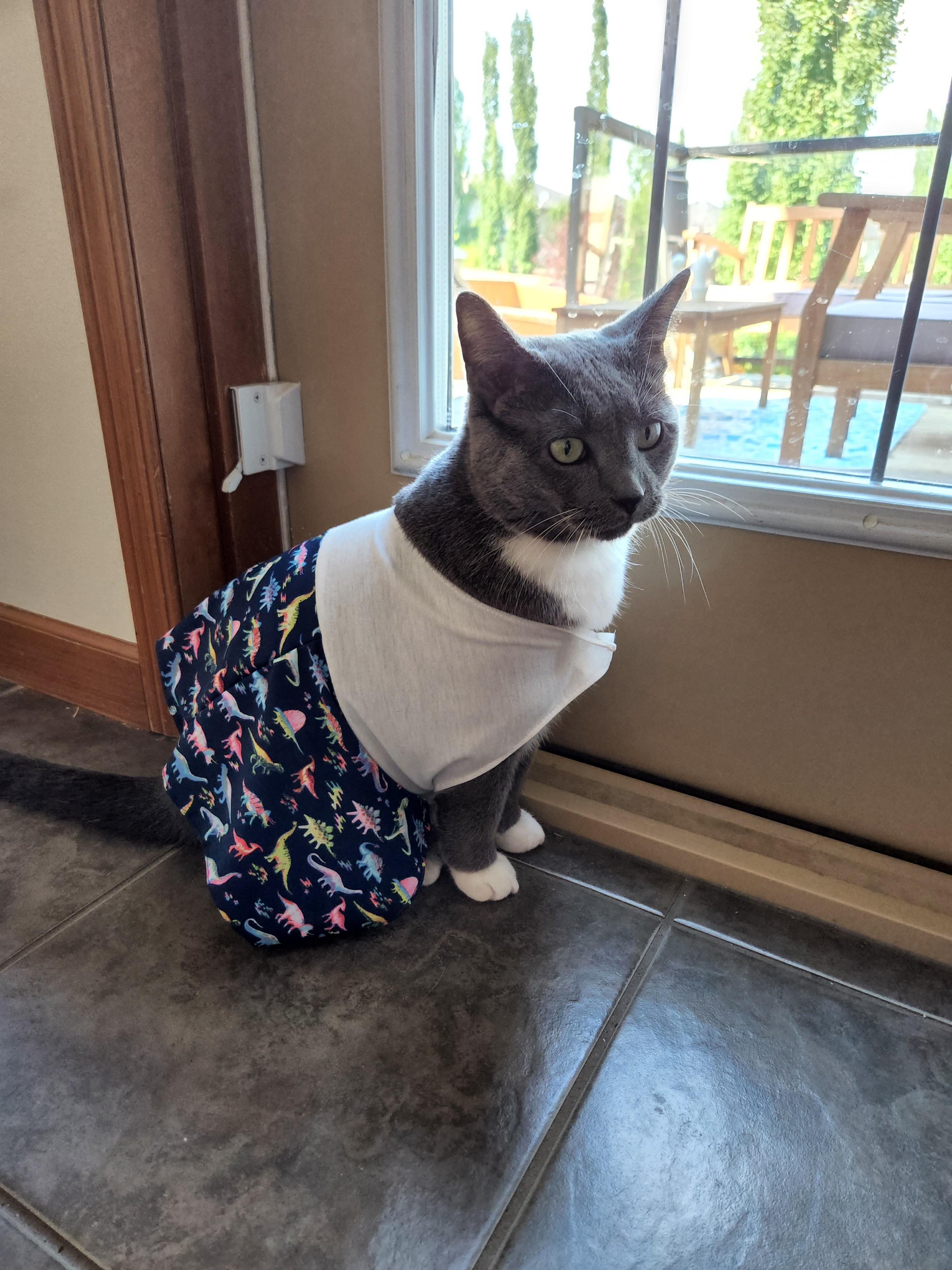 Pet Summer Dress