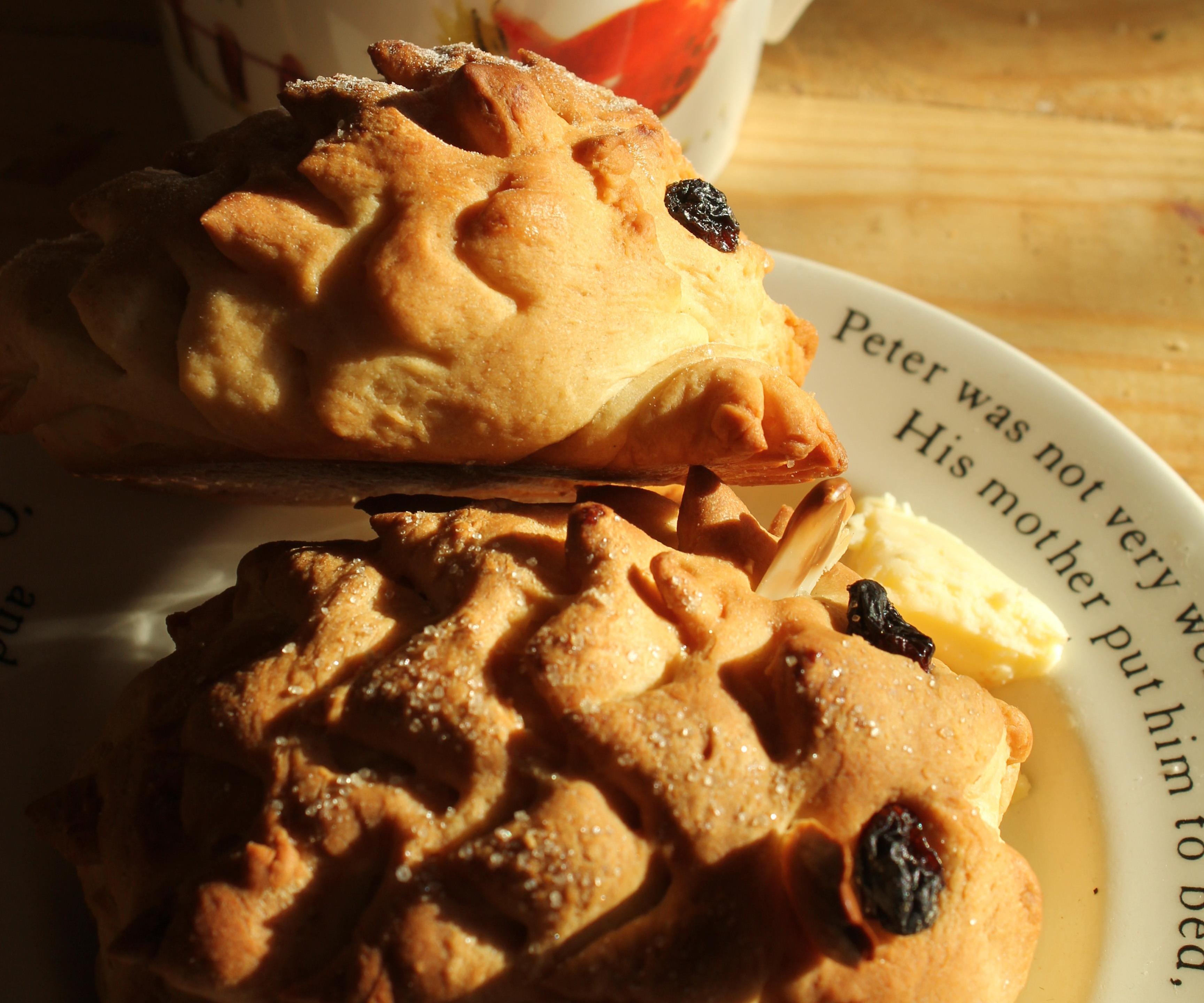 Baby Hedgehog Breakfast or Tea-Time Buns - Enriched Dough