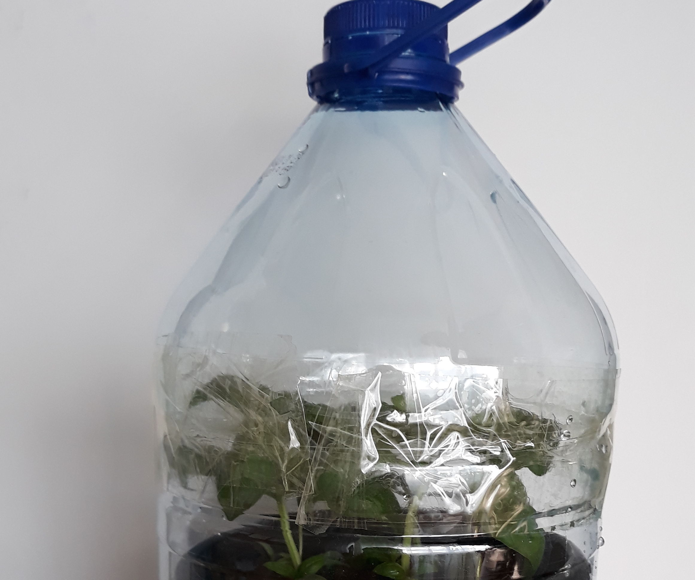 Portable Greenhouse Made From Recycling Materials