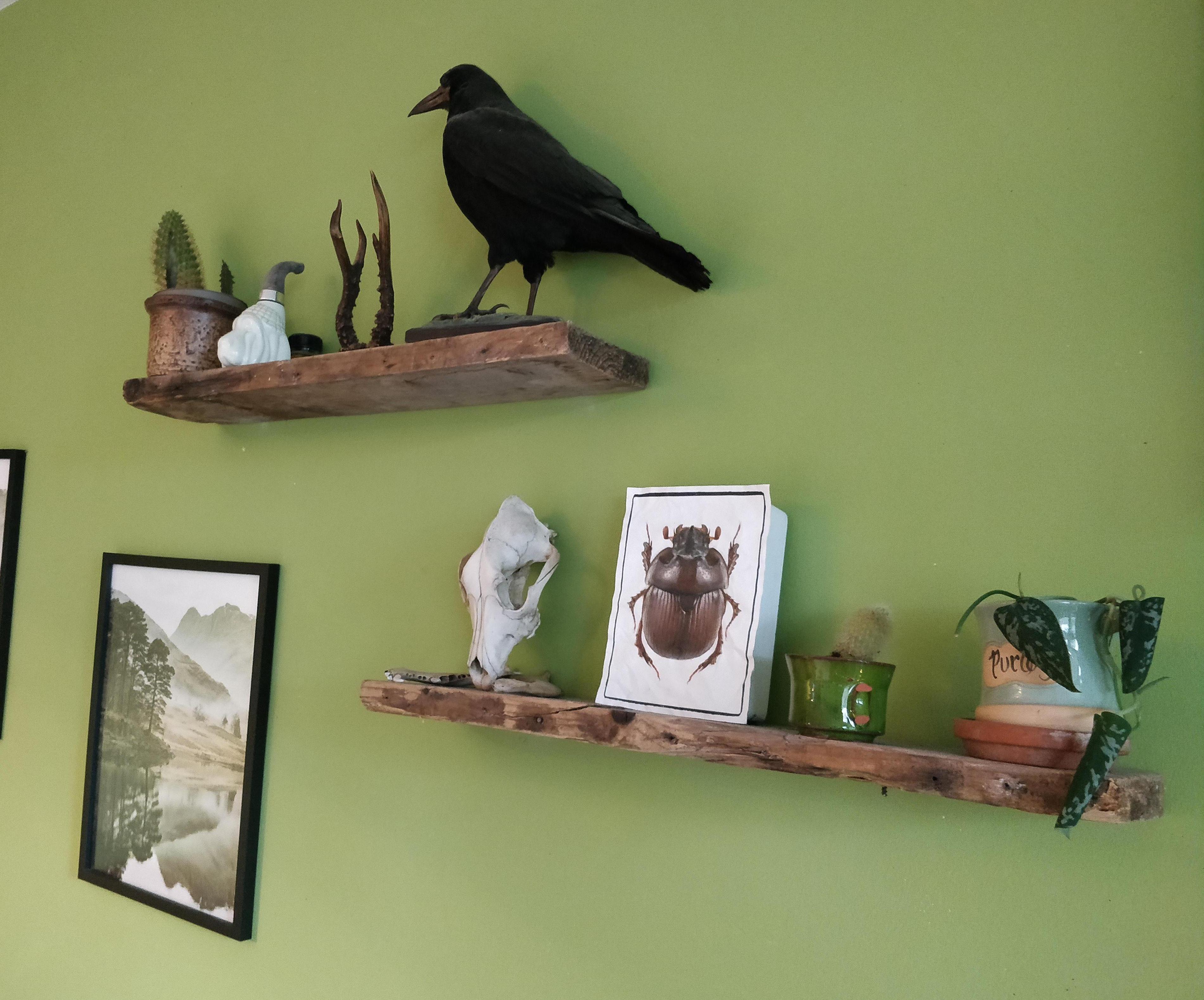 Floating Shelves (Easy As 1, 2, 3)