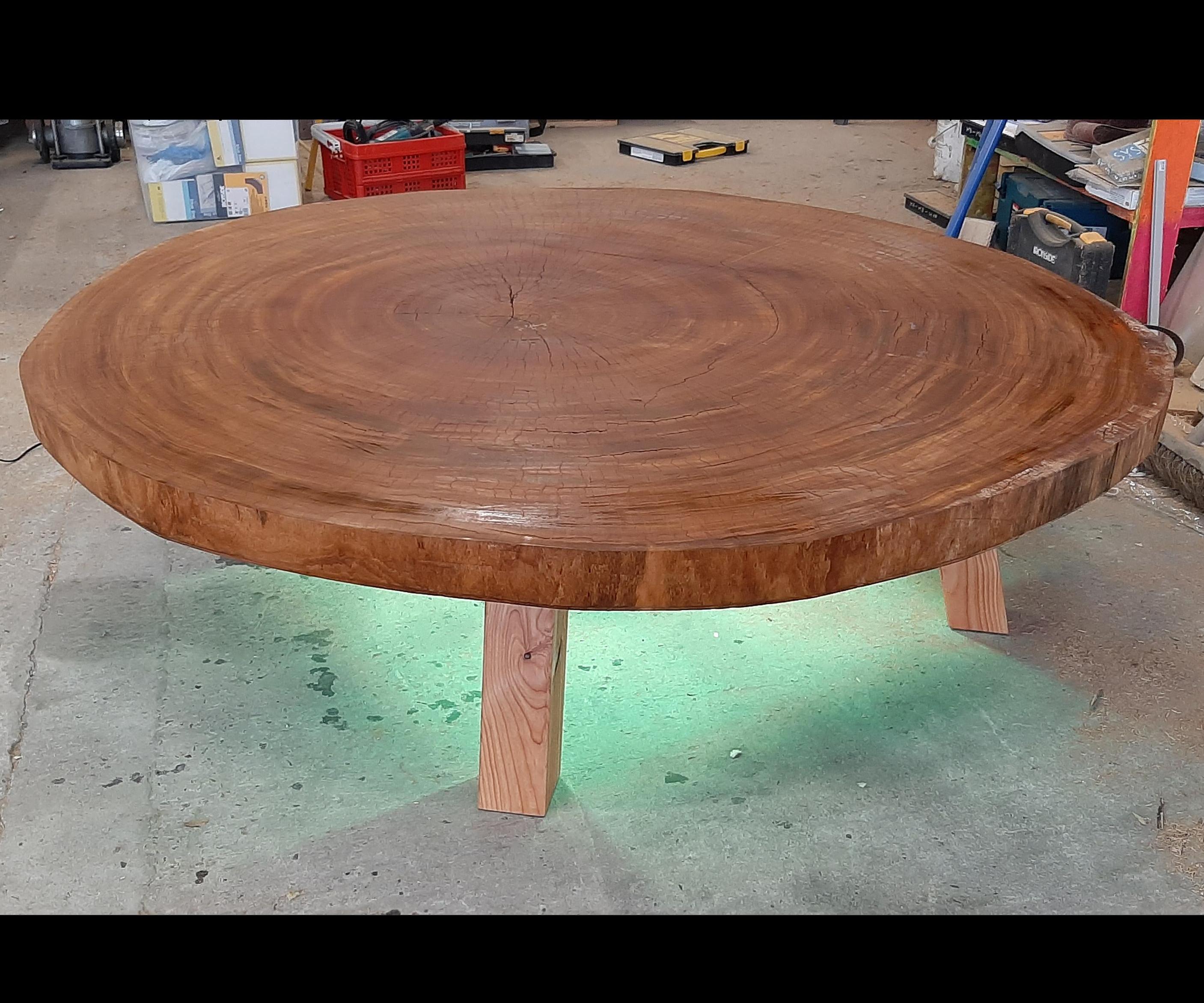 Tree Slab Lounge Table With Rgb Led Lights
