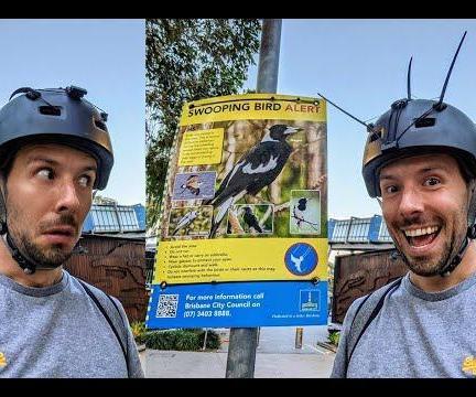 Swoop Stopper Helmet