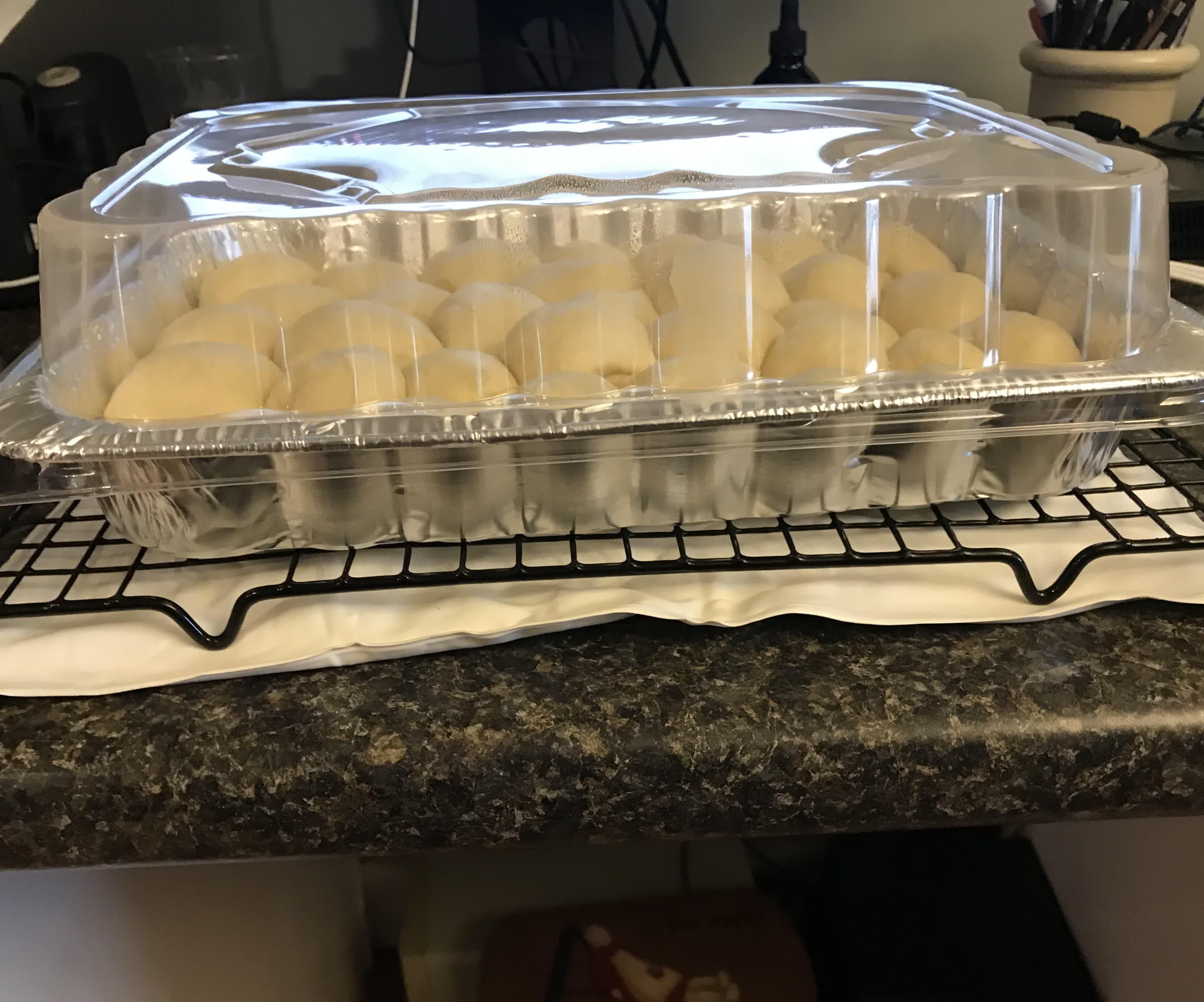 Improvised Bread Proofer