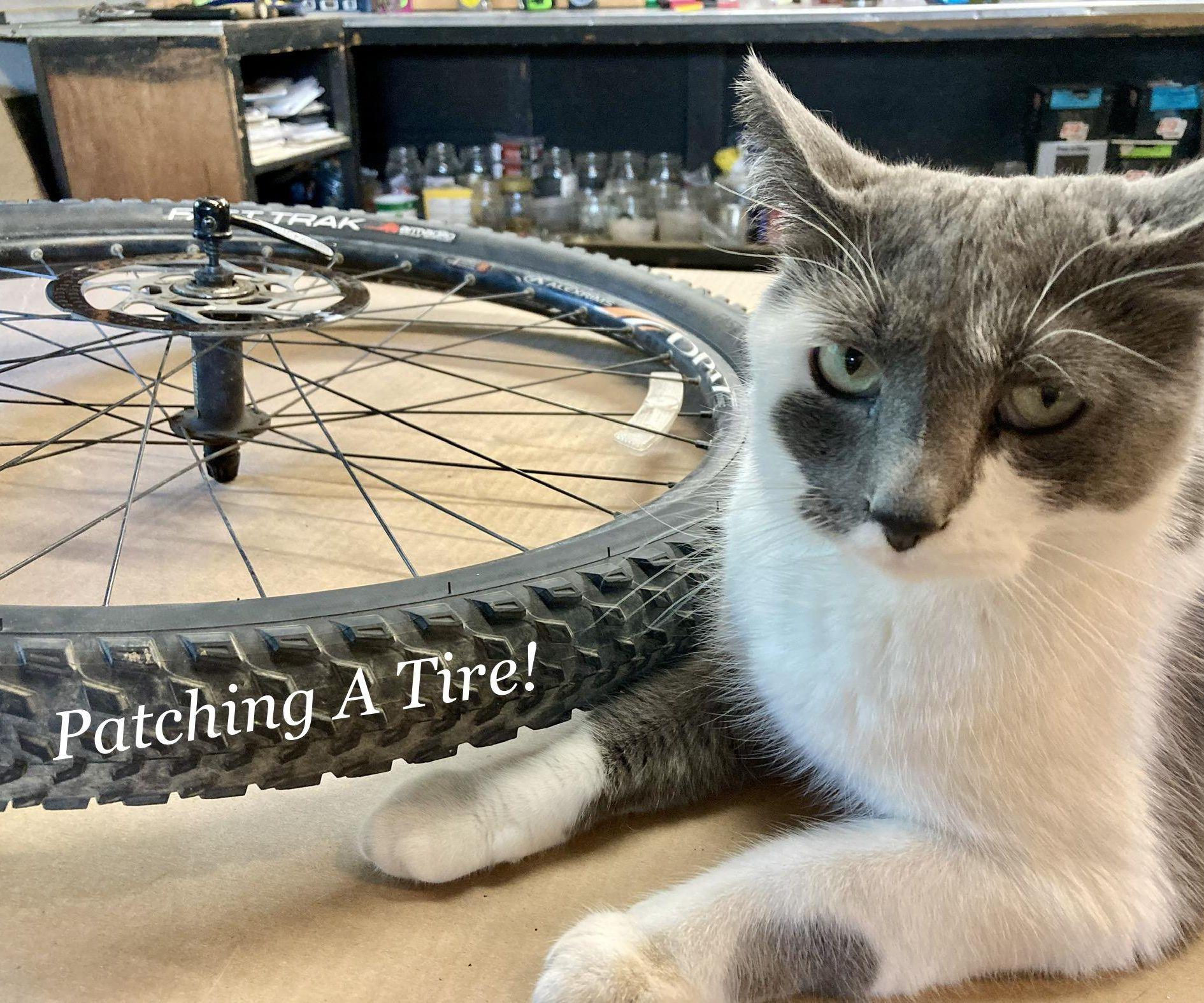 Patching a Bike Tube for Beginners, (and Cats ) 