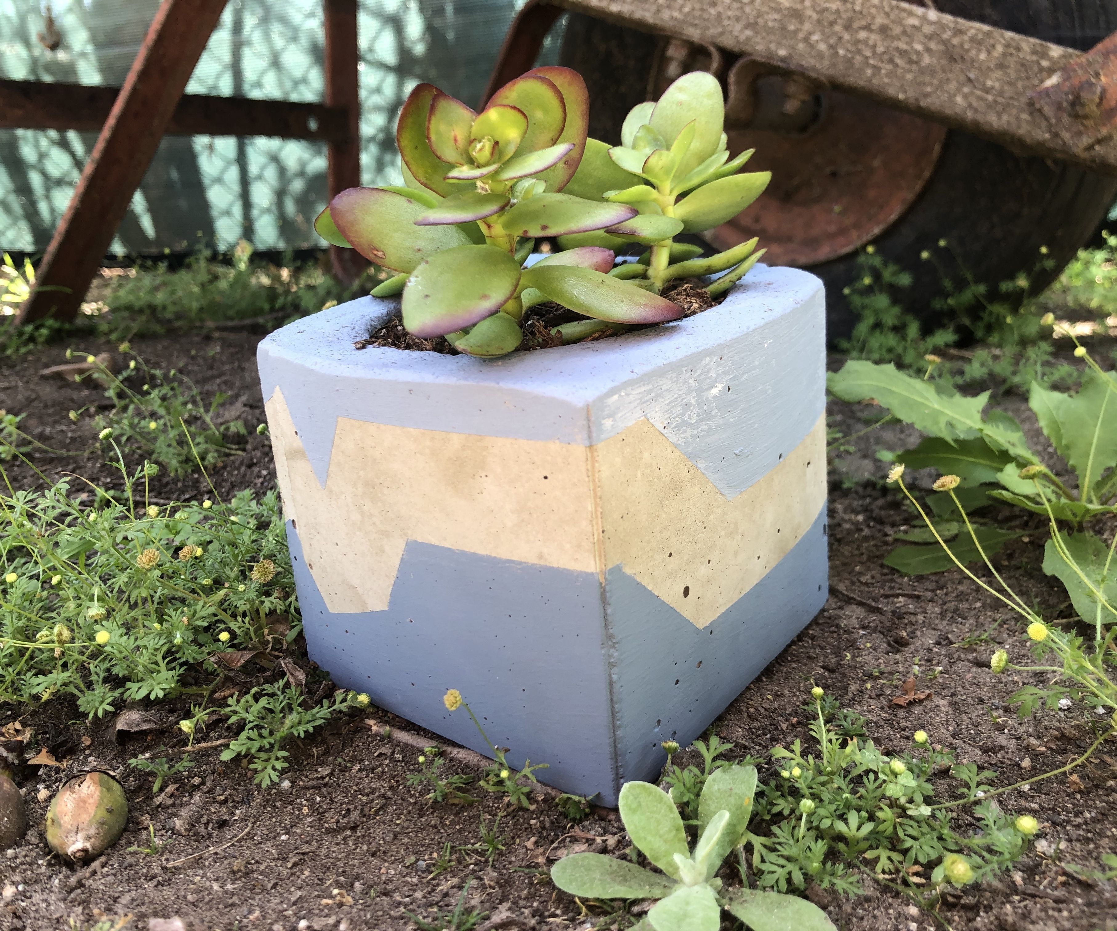 Cheap and Stylish DIY Concrete Pots