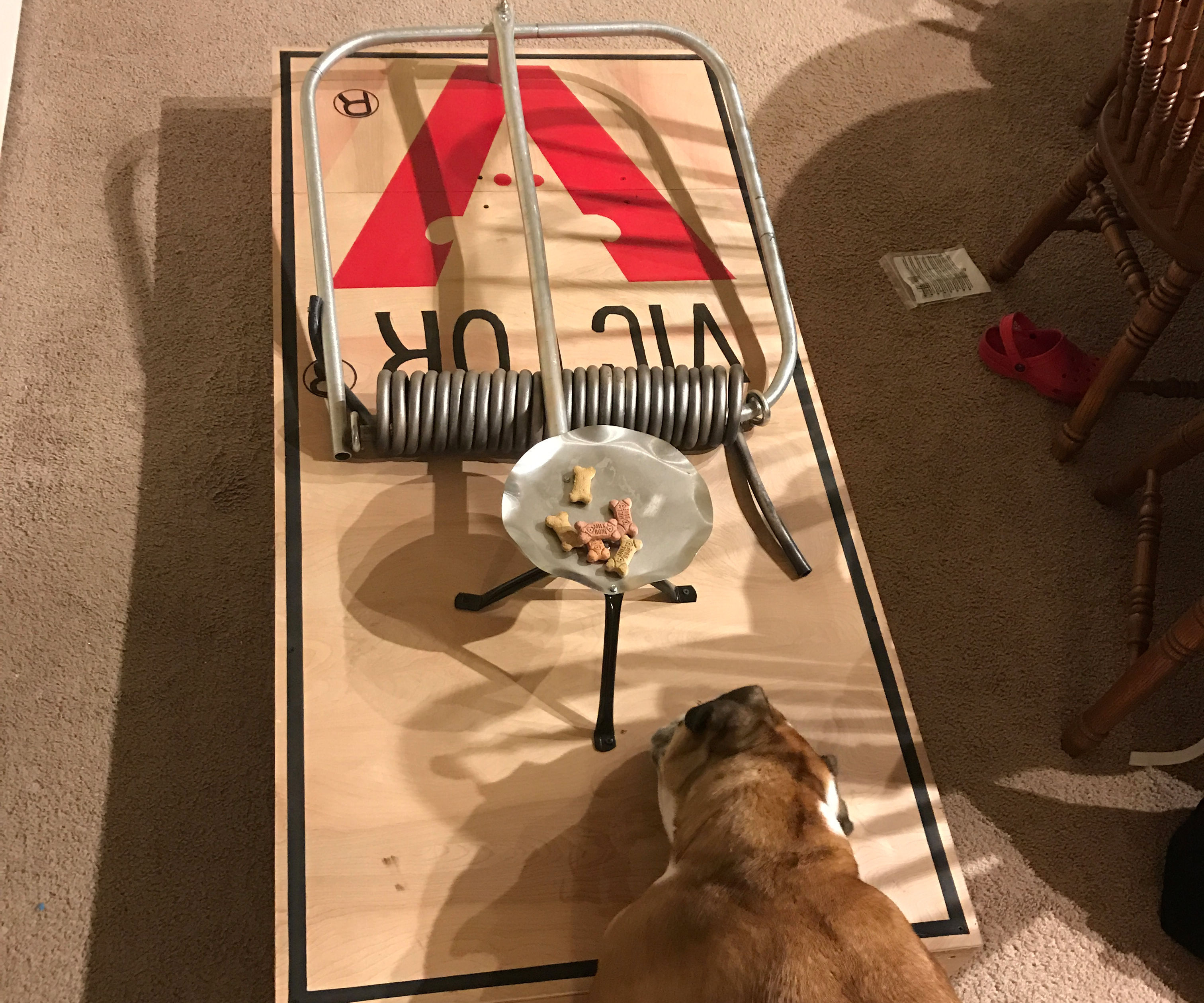 Giant Mousetrap