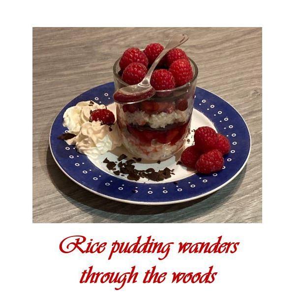 Rice Pudding Wanders Through the Woods