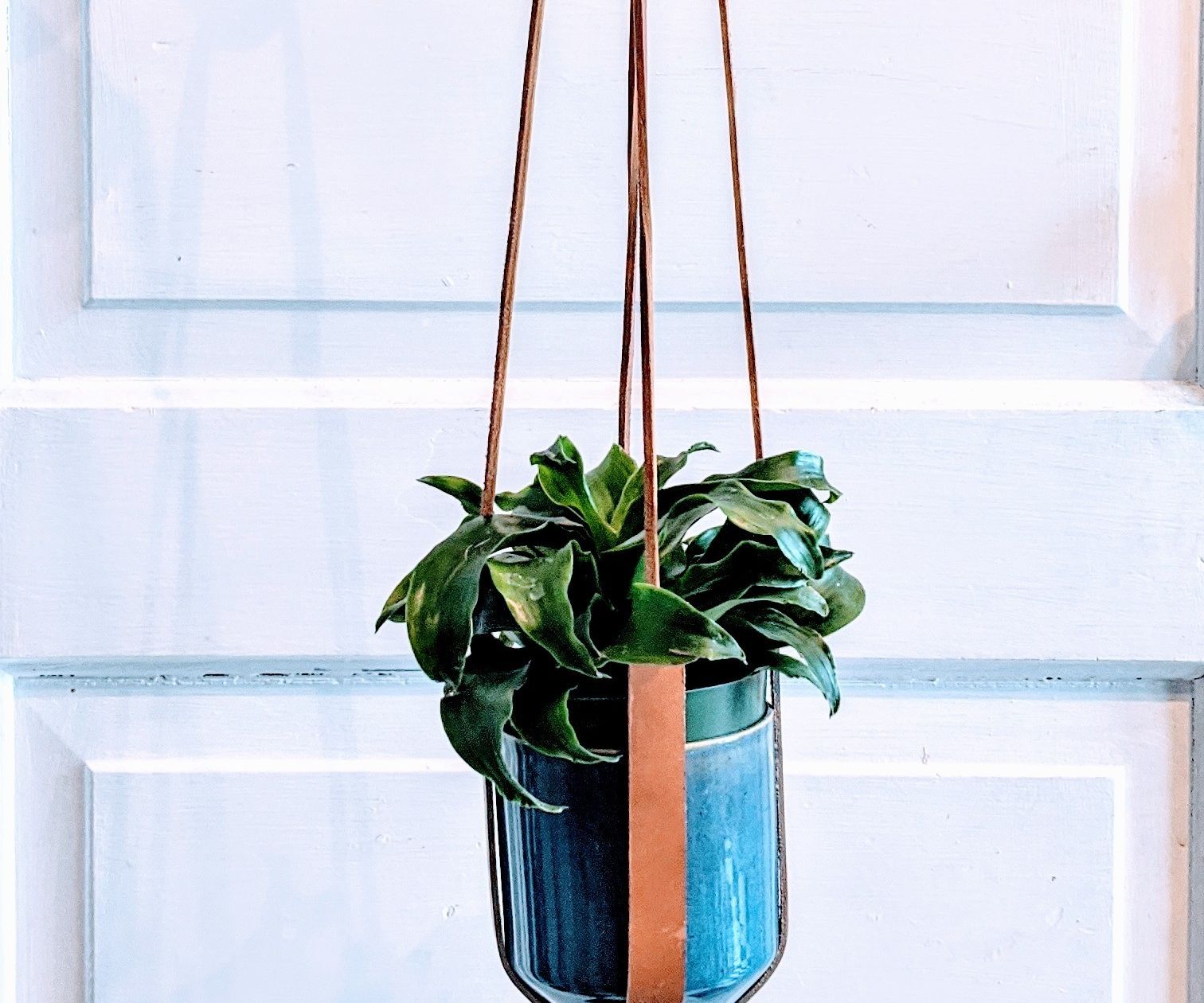 Make Your Own Leather Plant Hanger