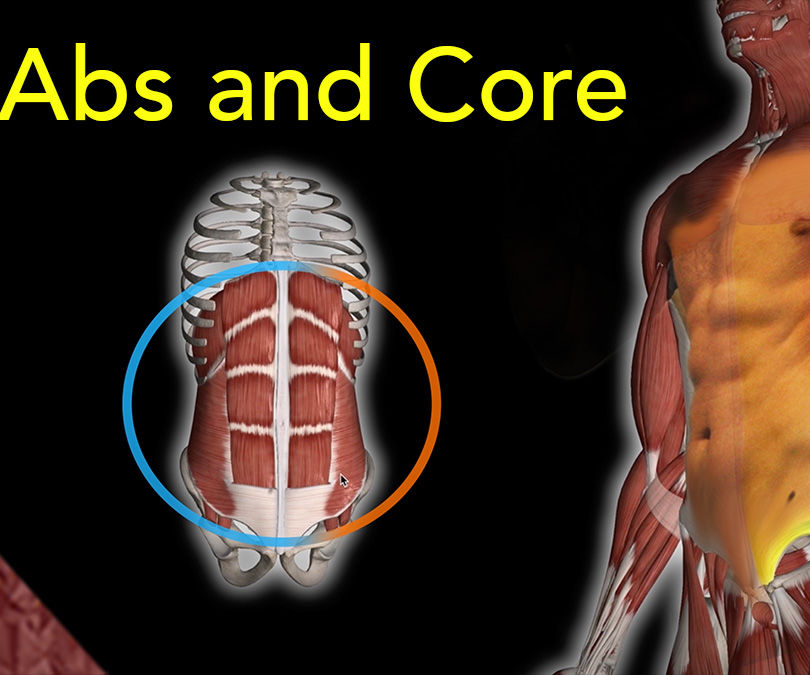 Core Workout. Abs and Six Pack
