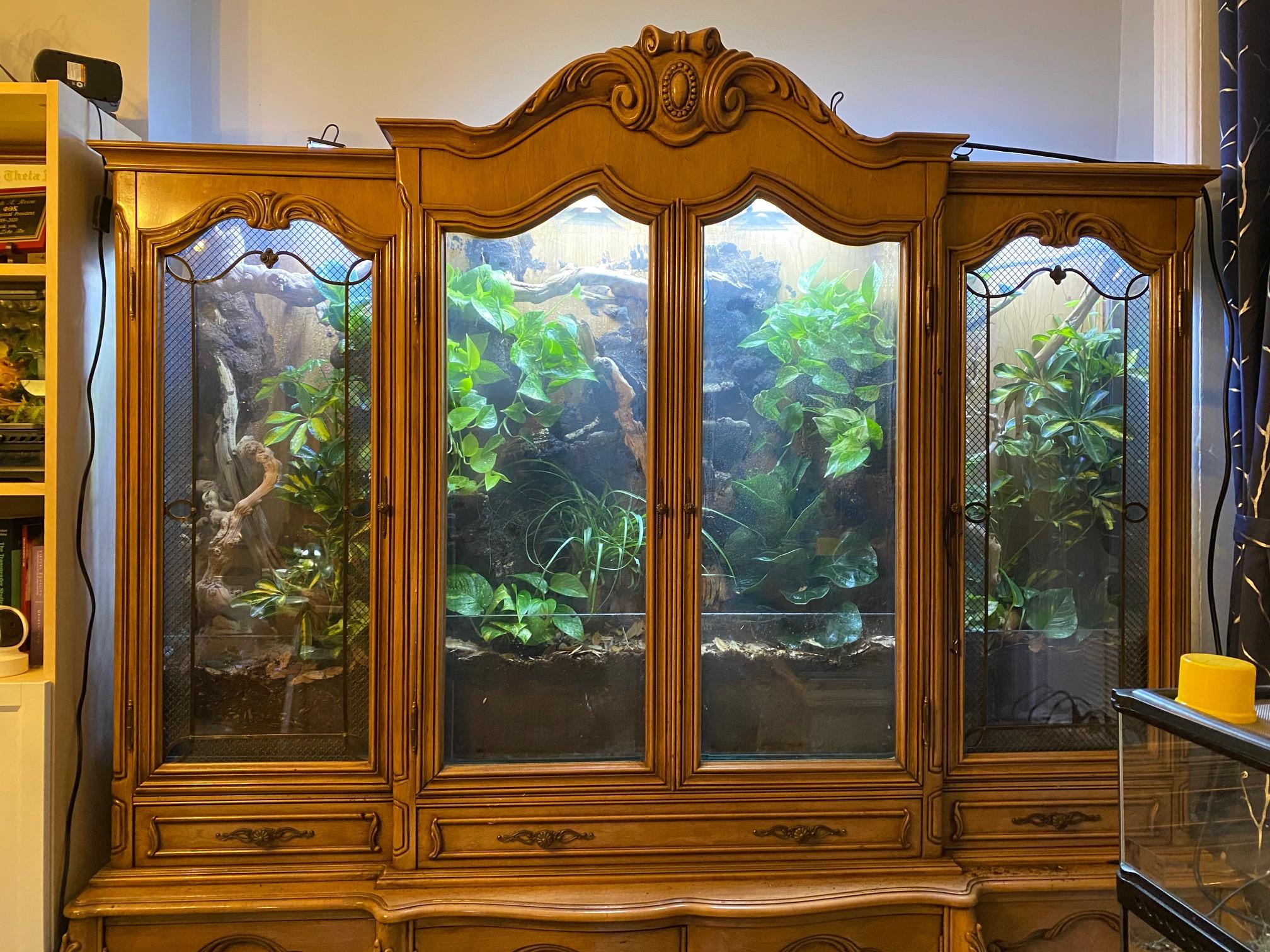Building Narnia:  an Automated China Cabinet Vivarium Conversion