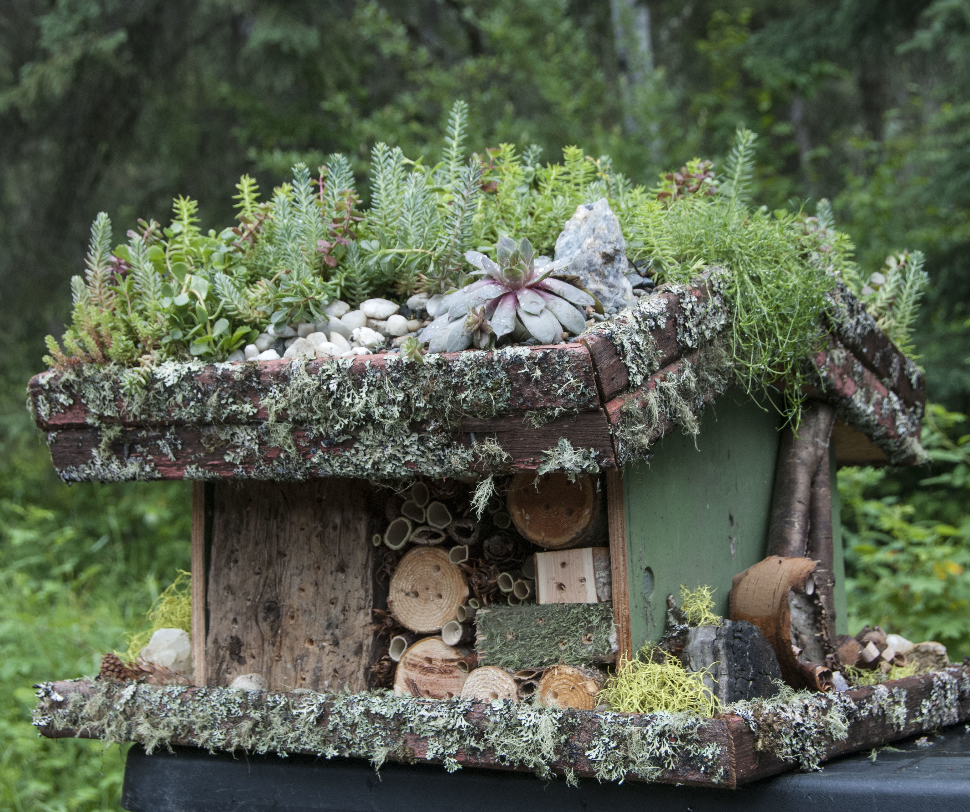 Bee Resort With Growing Rooftop