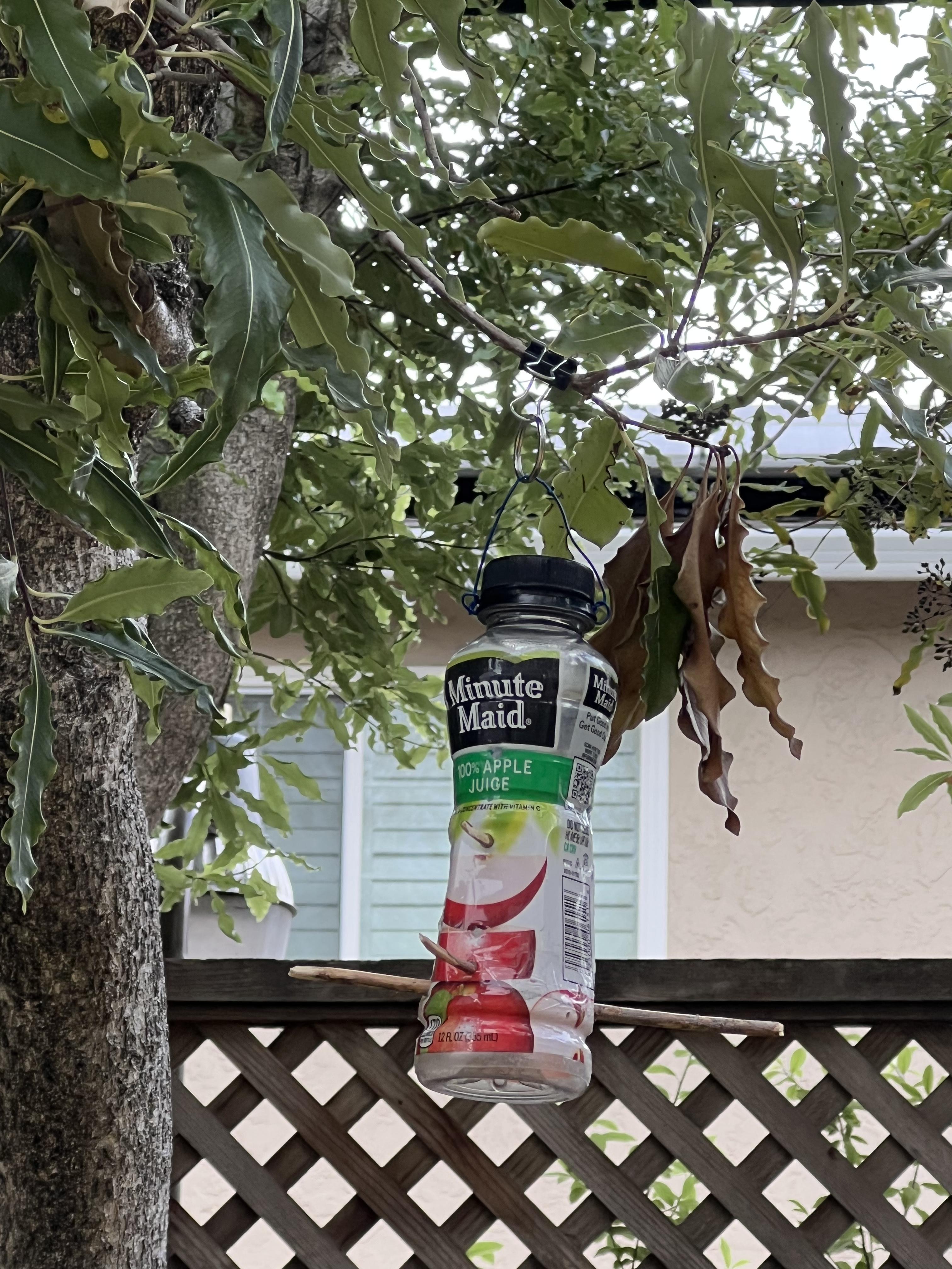 Plastic Bottle Finch Feeder