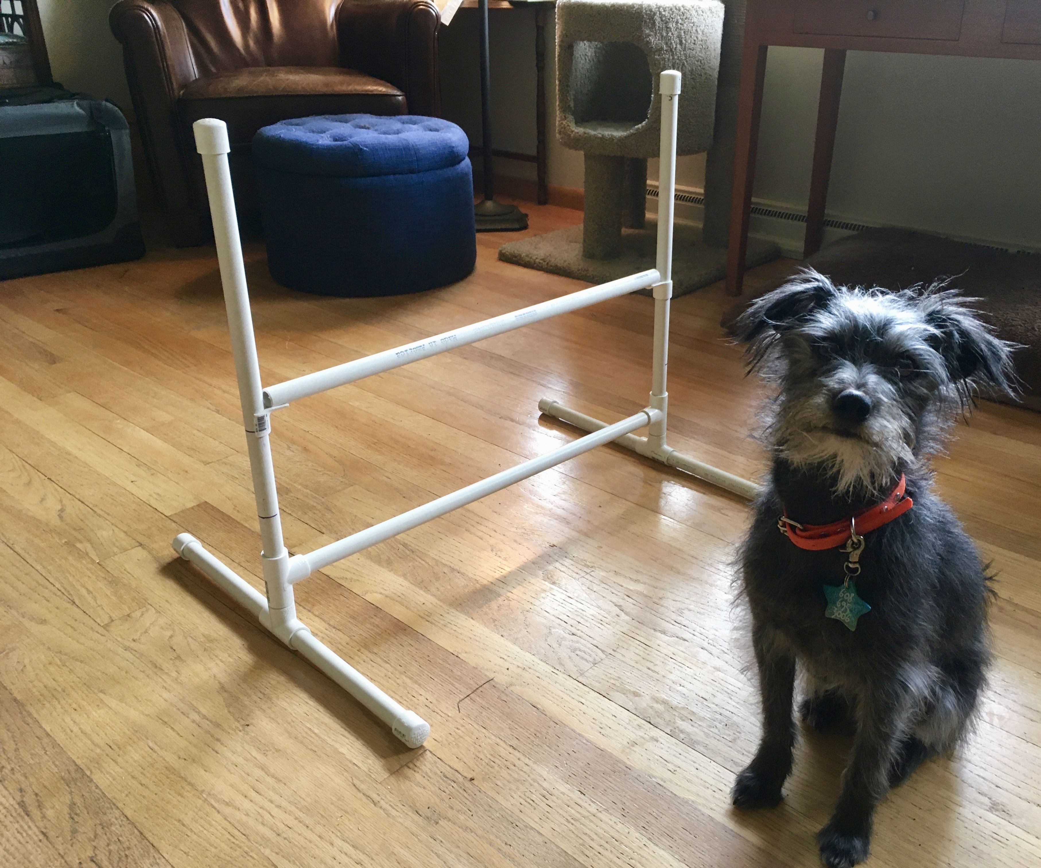 Build a Small Agility Jump