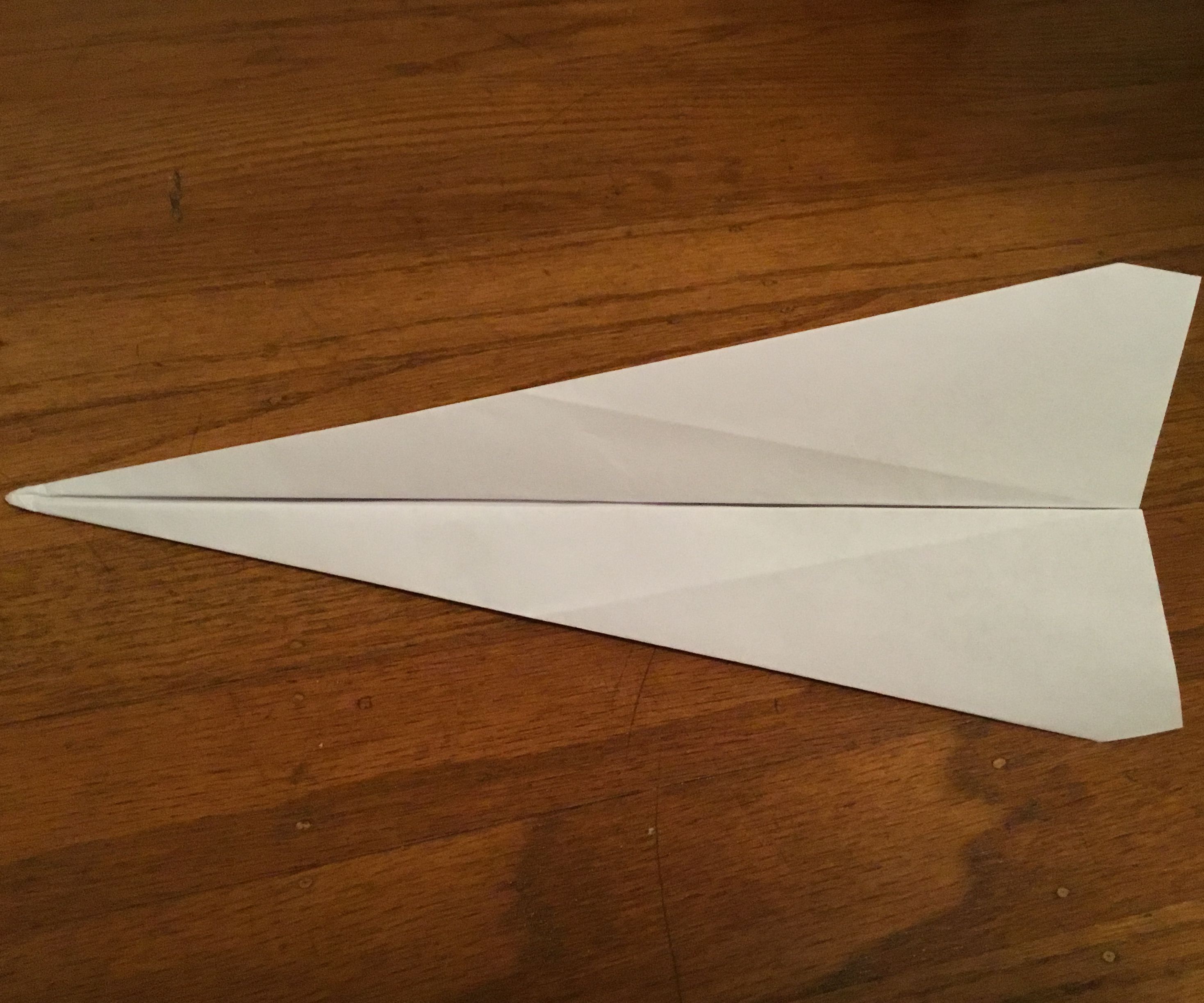 A Simple Paper Airplane