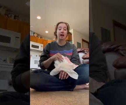 Summer Capsule Wardrobe (toddler Boy)